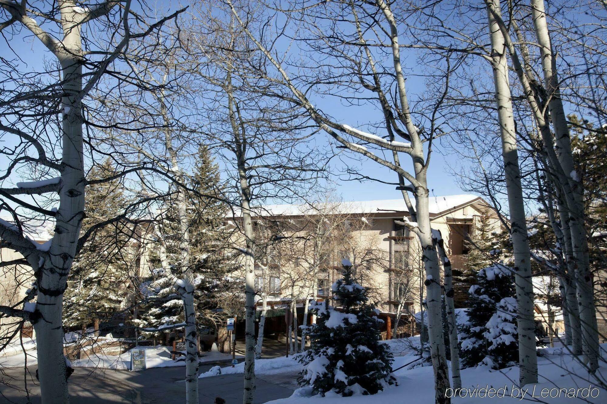 Tamarack Townhomes - Coraltree Residence Collection Snowmass Village Bagian luar foto